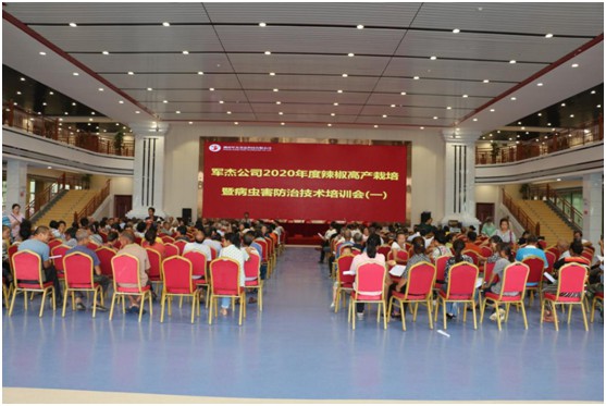 湖南軍杰辣椒,軍杰剁辣椒,湖南剁辣椒  湖南軍杰辣椒,軍杰剁辣椒,湖南剁辣椒