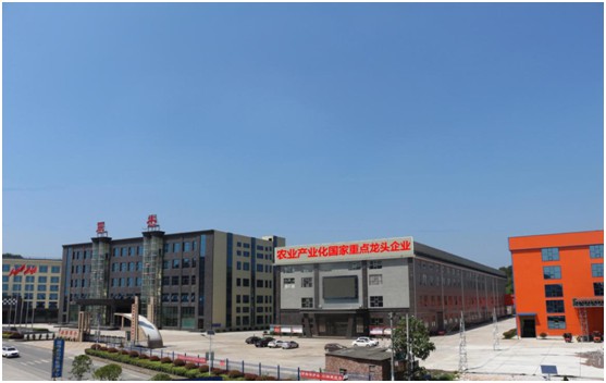 湖南軍杰辣椒,軍杰剁辣椒,湖南剁辣椒  湖南軍杰辣椒,軍杰剁辣椒,湖南剁辣椒
