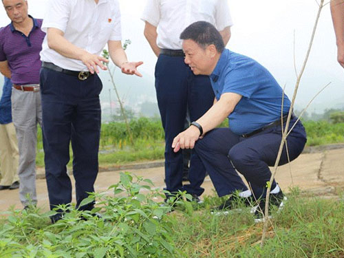 湖南軍杰辣椒,軍杰剁辣椒,湖南剁辣椒  湖南軍杰辣椒,軍杰剁辣椒,湖南剁辣椒