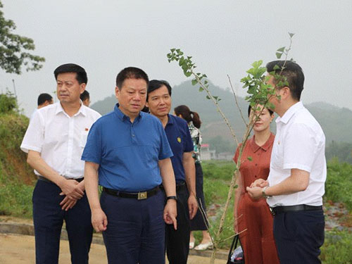 湖南軍杰辣椒,軍杰剁辣椒,湖南剁辣椒  湖南軍杰辣椒,軍杰剁辣椒,湖南剁辣椒