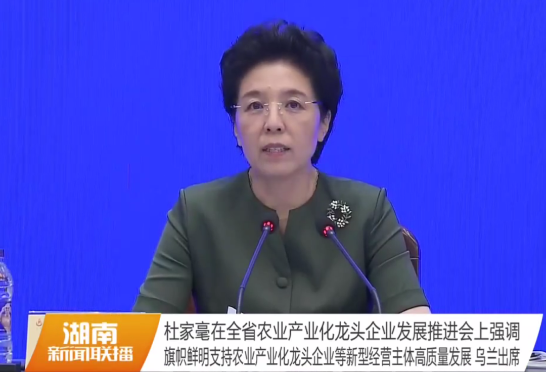 湖南軍杰辣椒,軍杰剁辣椒,湖南剁辣椒  湖南軍杰辣椒,軍杰剁辣椒,湖南剁辣椒