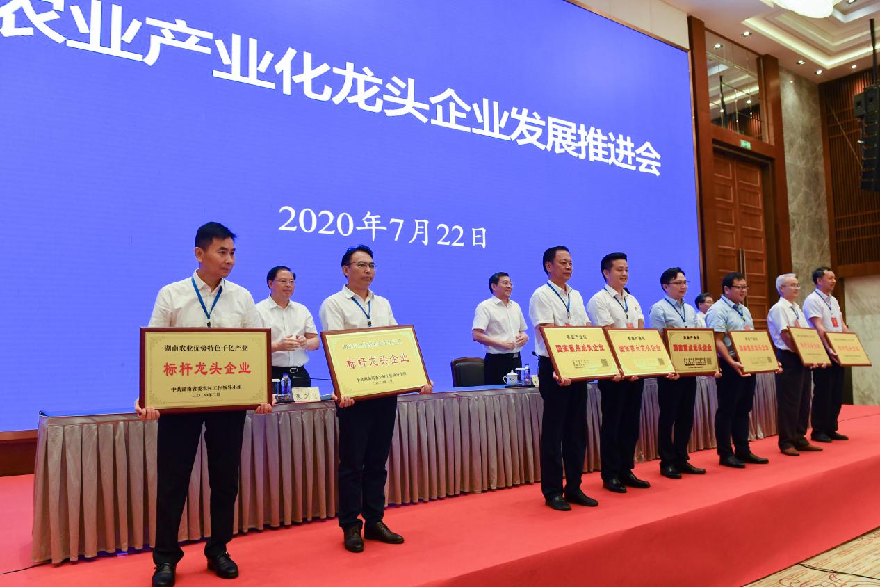 湖南軍杰辣椒,軍杰剁辣椒,湖南剁辣椒  湖南軍杰辣椒,軍杰剁辣椒,湖南剁辣椒